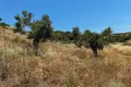 Land 6 662 m² Nikiti, Greece