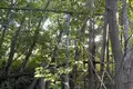 Grundstück 800 m² Sokolskoje, Russland