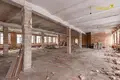 Коммерческое помещение 1 300 м² Марьина Горка, Беларусь