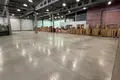 Склад 1 комната 660 м² в Хатежино, Беларусь