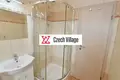 2 bedroom apartment 60 m² okres ceske Budejovice, Czech Republic