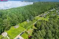House 32 m² Gervenupis, Lithuania