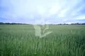 Maison 288 m² Lasanski sielski Saviet, Bélarus
