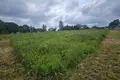 Atterrir  Haranski sielski Saviet, Bélarus