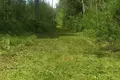 House 23 m² Druzhny, Belarus