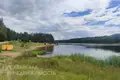 Дом 80 м² Боровской сельский Совет, Беларусь