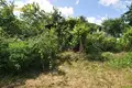 Dom 55 m² Fanipalski sielski Saviet, Białoruś