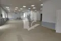 Gewerbefläche 11 zimmer 287 m² in Babrujsk, Belarus