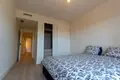 2 bedroom penthouse  Artola, Spain
