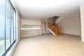 Дуплекс 3 комнаты 90 м², Все страны