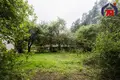Maison 56 m² Holacki sielski Saviet, Bélarus