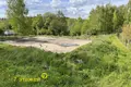 Land  Alahnovicy, Belarus