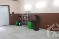 Производство 230 м² Молодечно, Беларусь