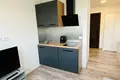 1 room apartment 16 m² Kaunas, Lithuania