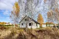 House  Turynski sielski Saviet, Belarus