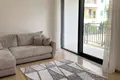 1 bedroom apartment 50 m² Montenegro, Montenegro