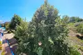 Wohnung 2 zimmer 50 m² Nessebar, Bulgarien