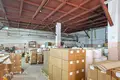 Warehouse 3 827 m² in Barawlyany, Belarus