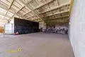 Zakład produkcyjny 1 pokój 500 m² w Lahojsk selsaviet, Białoruś