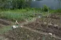 Земельные участки 600 м² Бор, Россия