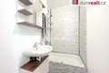 Wohnung 45 m² Neuhaus, Tschechien