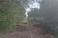 Land 4 098 m² Nea Skioni, Greece