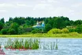 House  Viazyn, Belarus