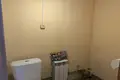 Haus 117 m² Pleschtschanizy, Belarus