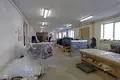 Manufacture 1 804 m² in Hotland rural council, Belarus