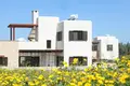 4 bedroom house 160 m² Argaka, Cyprus