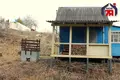 Casa 29 m² Aliachnovicki siel ski Saviet, Bielorrusia