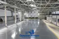 Produktion 4 351 m² Minsk, Belarus