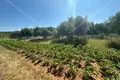 Land 45 000 m² Grad Benkovac, Croatia