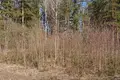 Grundstück  Kalodziscanski selski Savet, Belarus