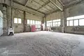 Warehouse 427 m² in Aziaryckaslabadski sielski Saviet, Belarus