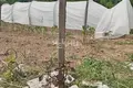 Haus 80 m² Smolki, Russland