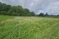 Land  Cackava, Belarus