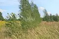 Parcelas 2 000 m² Gorodetsky District, Rusia