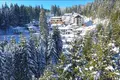 Appartement 1 chambre  Municipalité de Smolyan, Bulgarie