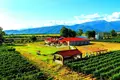 Wine is not just taste and aroma — it's the atmosphere and location that create it!