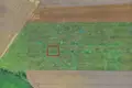 Дом 679 м² Dominowo, Польша