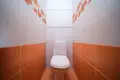 1 room apartment 33 m² Minsk, Belarus