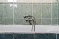 Appartement 4 chambres 87 m² Varsovie, Pologne