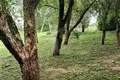 Parcelas  Piarsajski sielski Saviet, Belarús