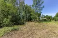 Land  Saskouski sielski Saviet, Belarus