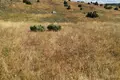 Land  Zabljak, Montenegro