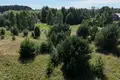 Land 18 600 m² Grinvalti, Latvia