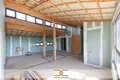 Коттедж 195 м² Озерицко-Слободской сельский Совет, Беларусь