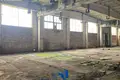 Warehouse 29 515 m² in Liebiedzieuski sielski Saviet, Belarus