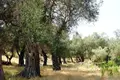 Land 1 room 108 000 m² Petriti, Greece